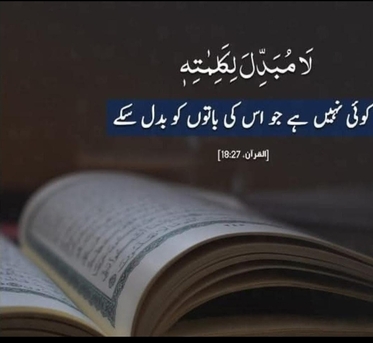 Riyadh, Job Seekers, Data Entry.driver Any Job