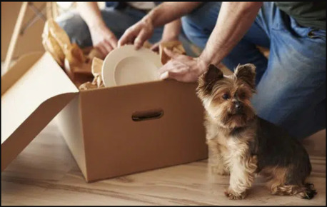 Sydney, Relocation, Keeping My House Clean While Overseas