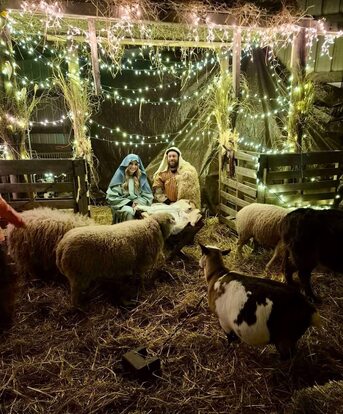 New York, Business, St Paul Lutheran Church