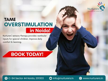 Noida, Counseling, Tame Overstimulation In Noida