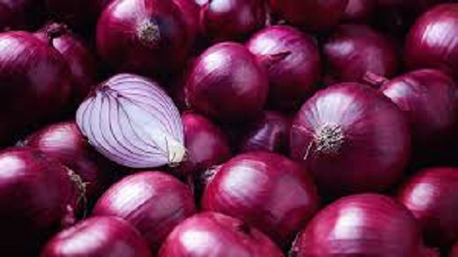 Mumbai, Wholesale Products, Fresh Onion Suppliers In Maharashtra
