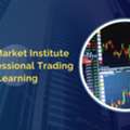Stock Market Institute For Professional Trading Learning