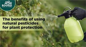 Mumbai, Guest Posting, Fresh Organic Farm Products Direct From Farmers  Description: