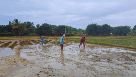 Mumbai, Guest Posting, Fresh Organic Farm Products Direct From Farmers  Description: