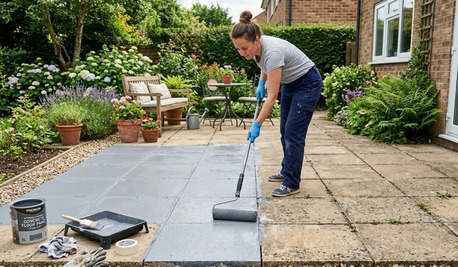 London, Wholesale Products, Effective Algae Killer For Patios, Driveways & Outdoor Surfaces