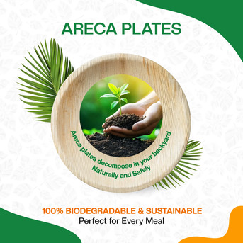 Dubai, Household Items, Areca Leaf Plates