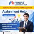 Master Your Diploma Of Leadership And Management Assignments With Expert Help