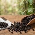 Black Pepper Exporters