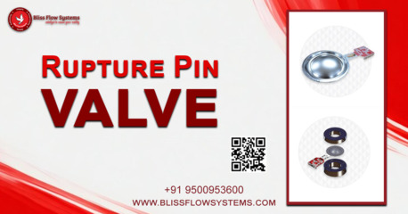 Chennai, Business, High-Quality Rupture Pin Valve | Bliss Flow System