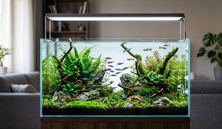 Perth, Farm & Garden, 1000,  Premium Aquascaping Supplies & Aquarium Products &ndash; School Of Scape