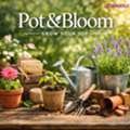 Pot And Bloom