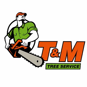 New York, Business, T & M Tree Service