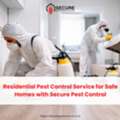 Stop Pests Before They Take Over Your Home &ndash; Expert Pest Control Services