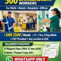 RENTAL 500 Bangladeshi Workers Single Sponsor (Minimum100 One Sponsor) Valid Iqama