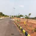 INR 9499,  350 Sq. Yard,  Bank Loan Available Plots For Sale In Srisailam Highway Hyderabad Contact- 6305534817