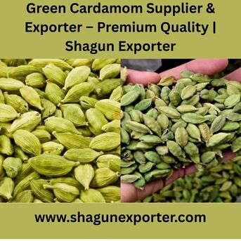 Tirana, Health, Green Cardamom Supplier & Exporter &ndash; Premium Quality | Shagun Exporter