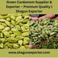 Green Cardamom Supplier & Exporter &ndash; Premium Quality | Shagun Exporter
