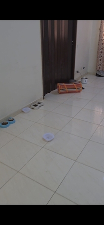 Riyadh, Pet Sitting, Pet Sitting