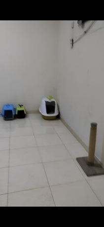 Riyadh, Pet Sitting, Pet Sitting