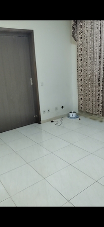 Riyadh, Pet Sitting, Pet Sitting
