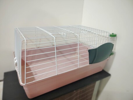 Al Adama, Pet Adoption, Free Rabbit Cage
