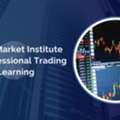 Stock Market Institute For Professional Trading Learning