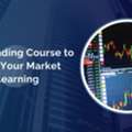 Free Trading Course To Start Your Market Learning