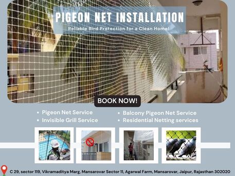 Jaipur, Business, Professional Pigeon Net Installation For Bird Protection