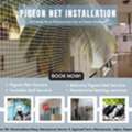 Professional Pigeon Net Installation For Bird Protection