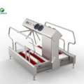 Hygiene Station For Food Industry In India | Industrial Hygiene Solutions