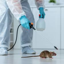 Dubai, Pest Control, Rodent Control Dubai | Safe & Effective Pest Solutions | +971 56 695 2225