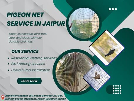 Jaipur, Business, Affordable Pigeon Net Service In Jaipur For Bird Control