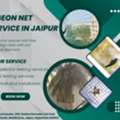 Affordable Pigeon Net Service In Jaipur For Bird Control