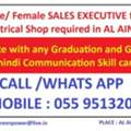 Sales Executive
