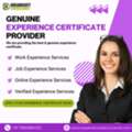 Experience Certificate Providers In Punjab