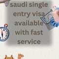 We Provide Saudi Visa With Fast Service