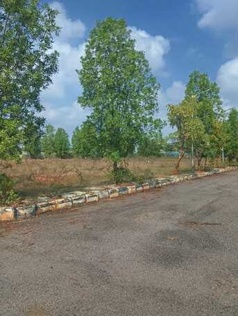 Hyderabad, Residential Plots, INR 34999,  306 Sq. Yard,  HMDA & RERA 306 Sq Yd South - West Corner Plot For Sale In Tukkuguda