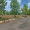 INR 34999,  306 Sq. Yard,  HMDA & RERA 306 Sq Yd South - West Corner Plot For Sale In Tukkuguda