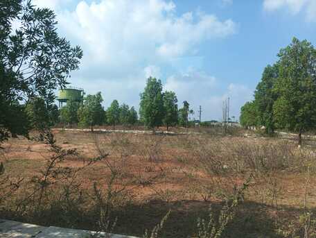 Hyderabad, Residential Plots, INR 34999,  306 Sq. Yard,  HMDA & RERA 306 Sq Yd South - West Corner Plot For Sale In Tukkuguda