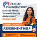 Torrens University Assignment Help &ndash; Your Smart Academic Support Partner