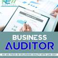 Business Auditor