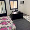 SAR 1000/month,  1 BR,  1 Separate Fully Furnished Room  For Rent In 2 BHK Family Flat Sar1000/M Azizia Jeddah