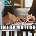 Audit Information Finance