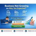 Business Not Growing The Way You Expected? Professional SEO Services