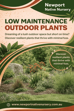 Melbourne, Farm & Garden, AUD 50,  Low Maintenance Outdoor Plants - Newport Native Nursery