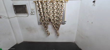 Hara, Rooms Available, 2 Room For Rent In Hara