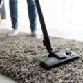 Professional Carpet Cleaning In NYC | Empire Steamers