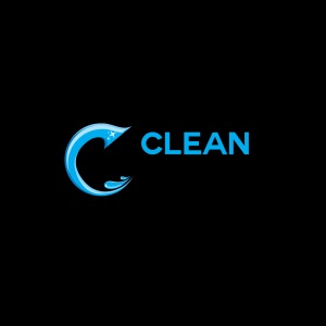 New York, Cleaning, Clean Choice Professional Services