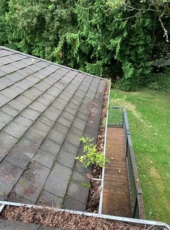 New York, Cleaning, Clean Choice Professional Services