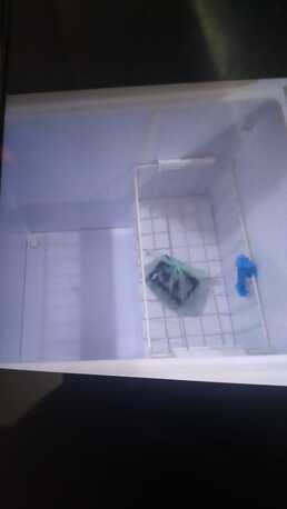 Al Aziziyah, Household Items, SAR 1000,  Stroller, LCD, Baby Cycle And Deep Freezer